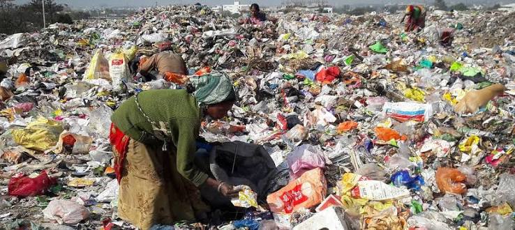 Who collects the plastic in our bags? Inside India's waste picker economy
