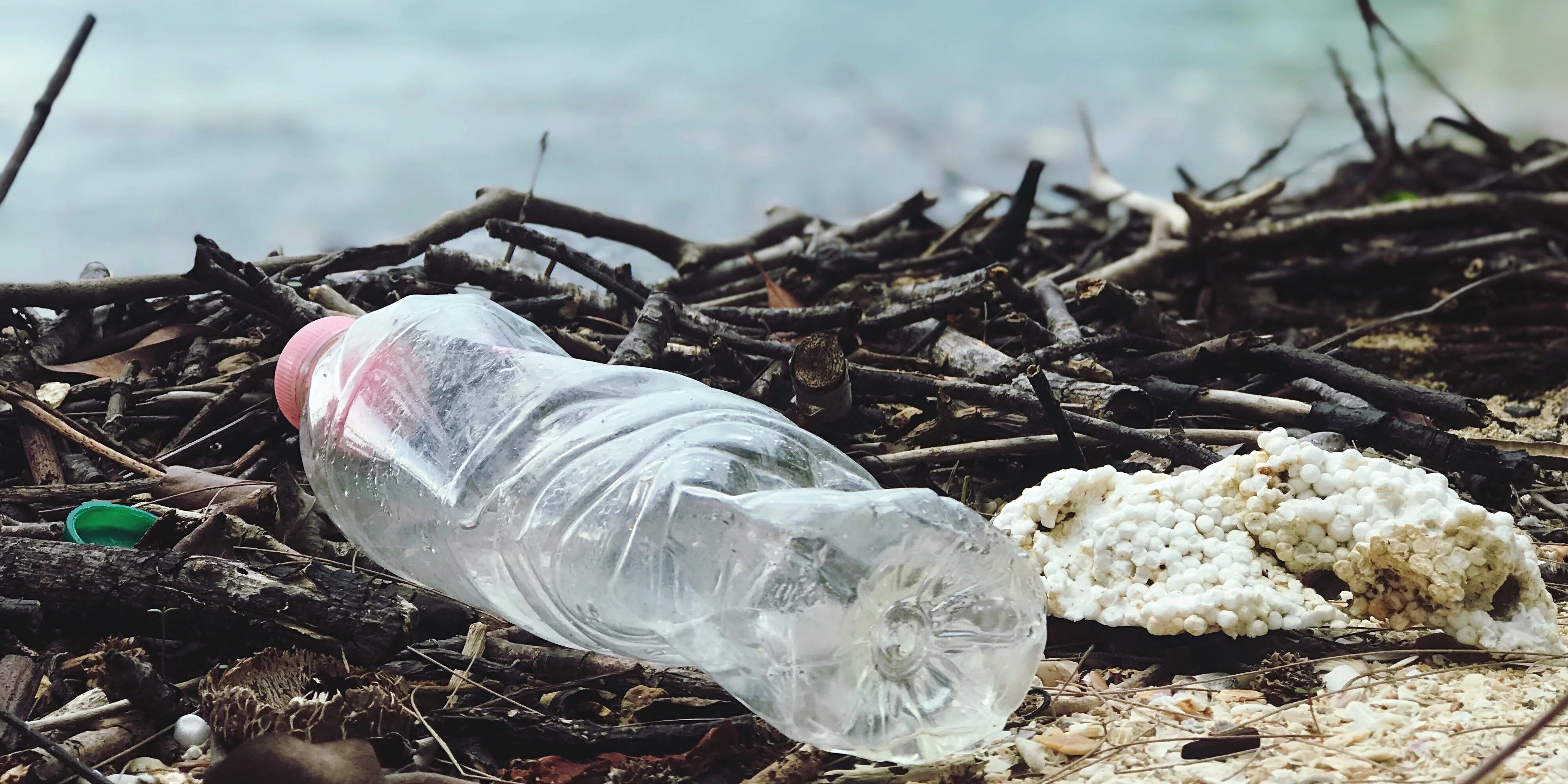 Plasticvervuiling en zijn verwoestende impact